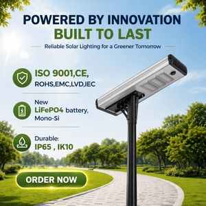 60W Integrated LED Solar Street Lights DC LiFePO4 Battery Powered MPPT Controller