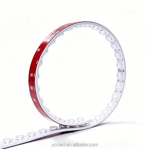 IP68 Outdoor Waterproof Flexible LED Wall Washer Strip Custom Color Temp 24W/M 5M/Roll Energy-saving Landscape Lighting