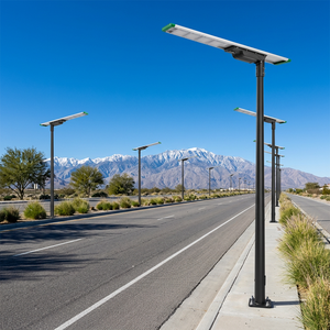 80W Commercial Grade High-Brightness Solar Street Light With 220LM/W LED Chip